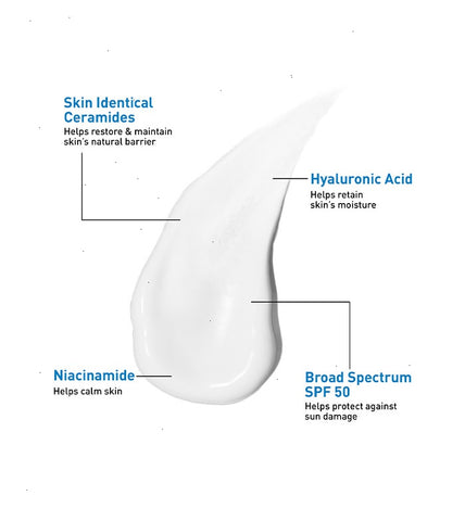 AM Facial Moisturizing Lotion SPF 50